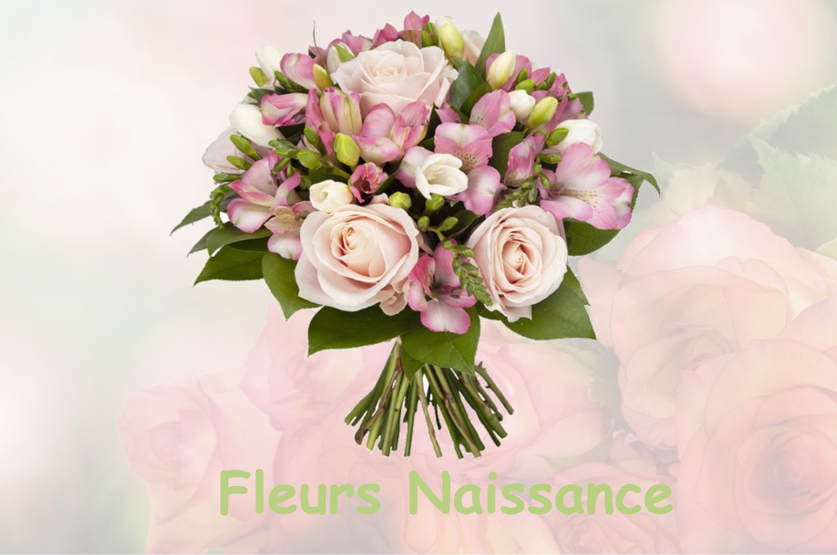 fleurs naissance CAMPAGNE-LES-BOULONNAIS