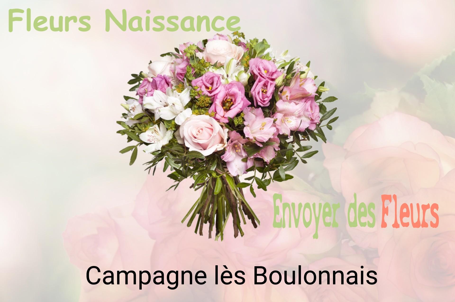 Bouquet de fleurs de naissance livré à Campagne-lès-Boulonnais