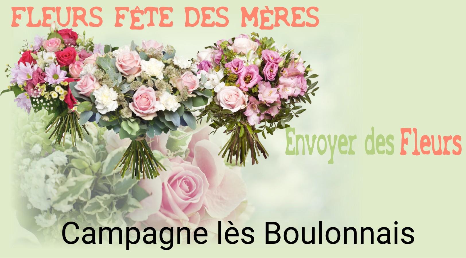 Bouquet de Fête des Mères livré à Campagne-lès-Boulonnais